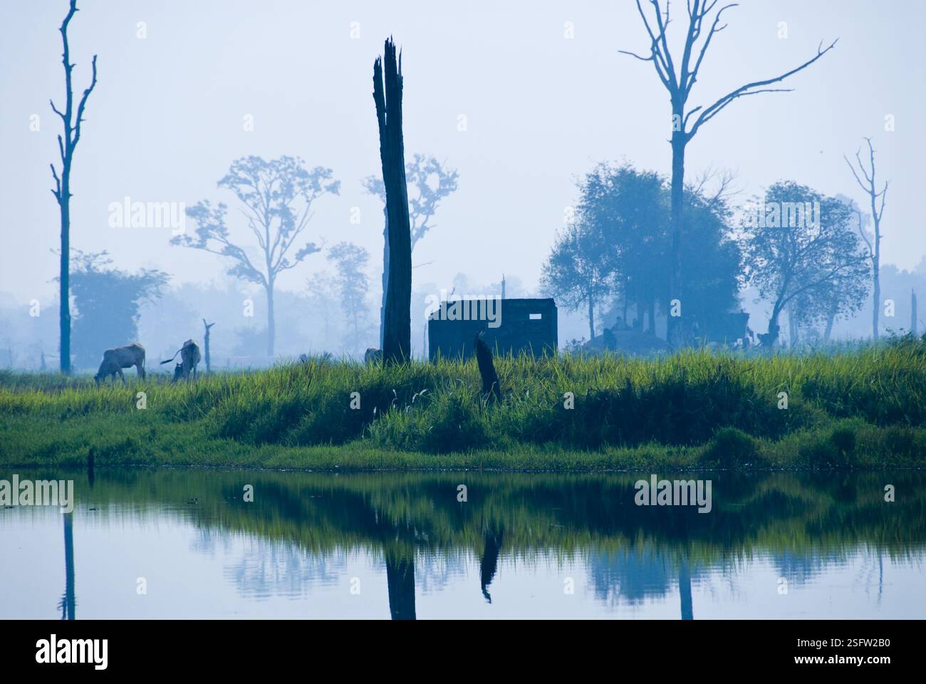 Von Pol Pots Haus (kambodschanischer Diktator) an einem See in Anlong Veng, Kambodscha, sind nur noch wenige Mauern erhalten. Stockfoto