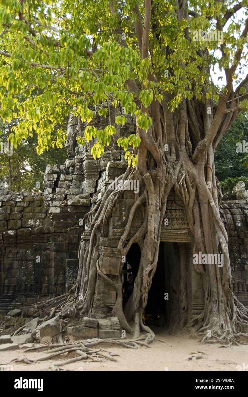 TA Som ist ein kleiner buddhistischer Tempel in Angkor, der im 12. Jahrhundert für König Jayavarman VII. Erbaut wurde Stockfoto