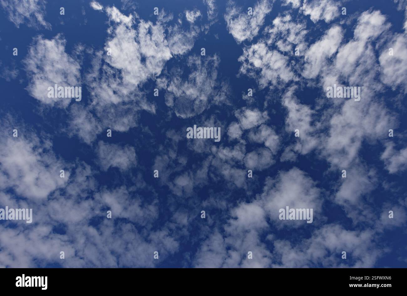 Altocumulus, flauschige Wolke, bewölkter Himmel, Waldviertel, Niederösterreich, Österreich, Europa Stockfoto