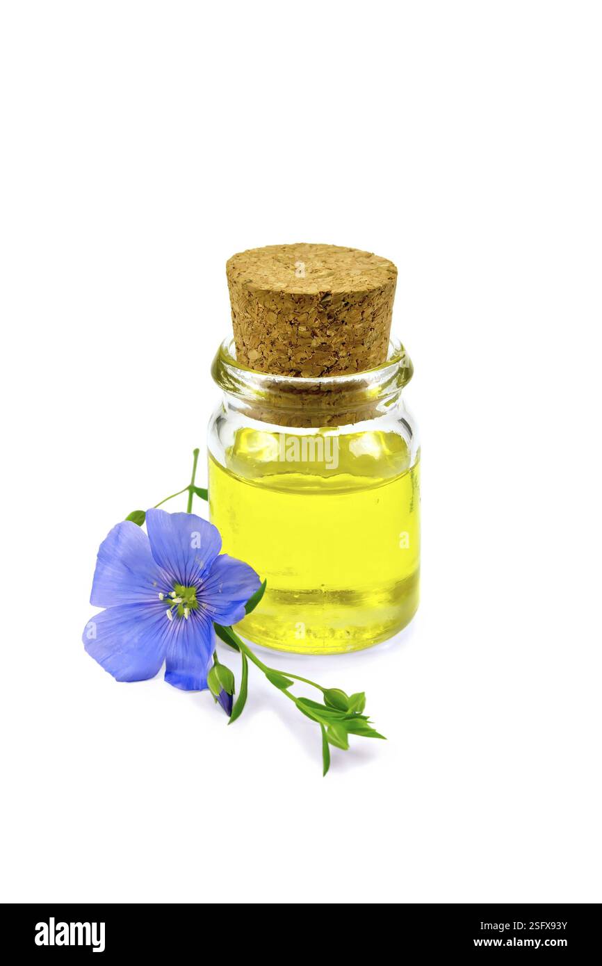 Leinöl in einer Glasflasche mit blauen Flachs Blume auf weißem Hintergrund Stockfoto