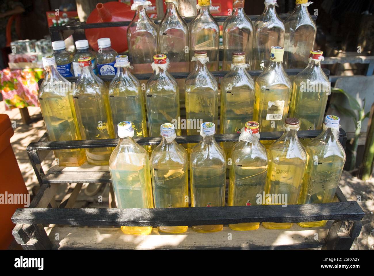 Benzin wird in alten Johnnie Walker Whisky-Flaschen in einem Dorf am Tonle SAP Lake verkauft. Stockfoto