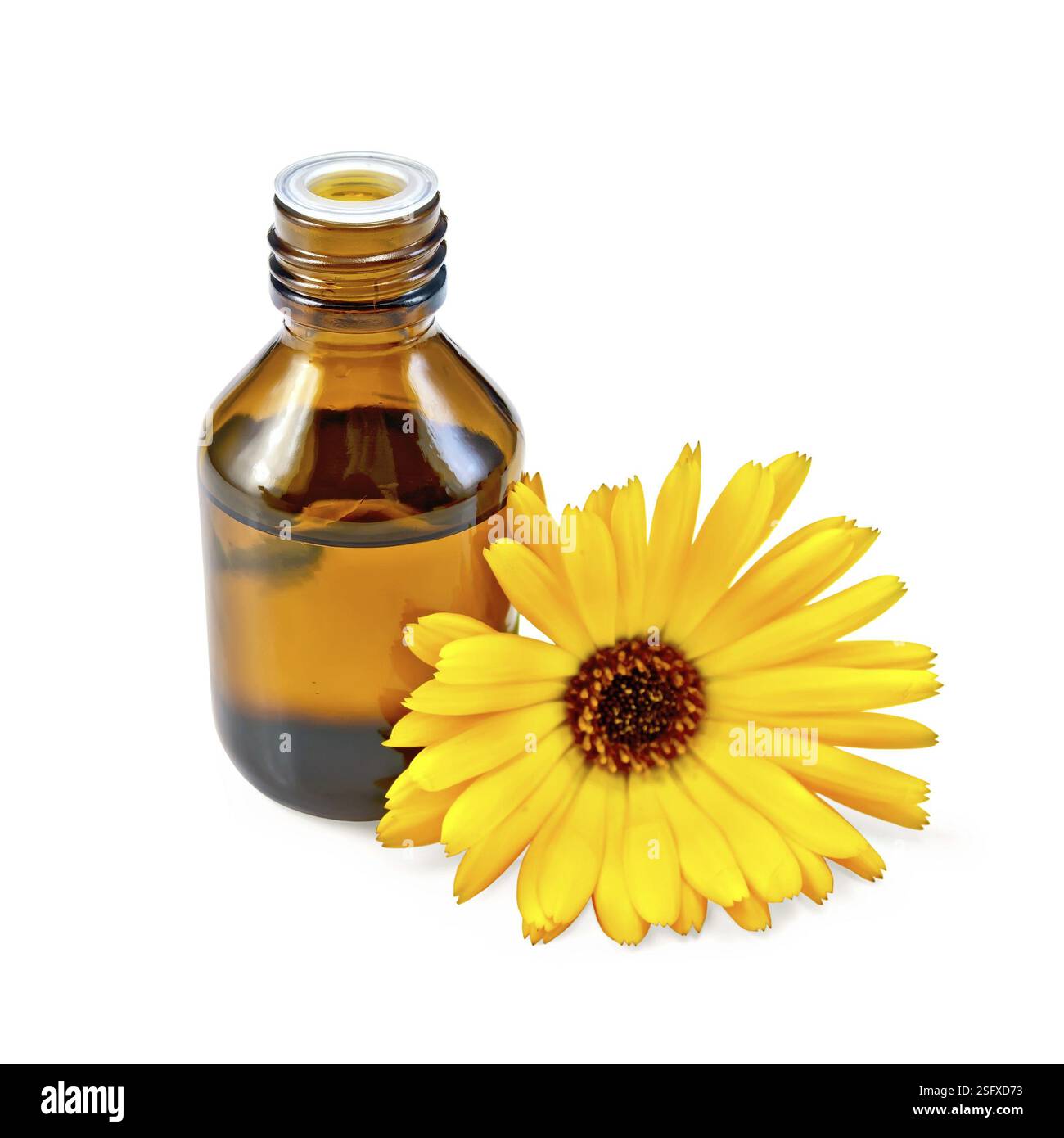 Dunkle Flasche mit Aromaöl, Marigold gelbe Blume isoliert auf weißem Hintergrund Stockfoto