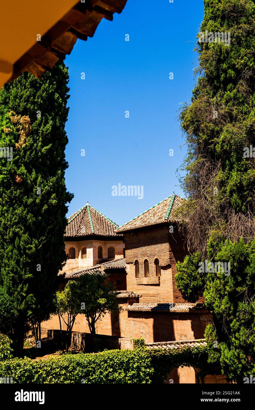 Die Kuppel der Abencerrajes Halle und die angrenzenden Nasriden Strukturen an der Alhambra, eingerahmt von hohen Zypressen und grünen andalusischen Gärten in Gran Stockfoto
