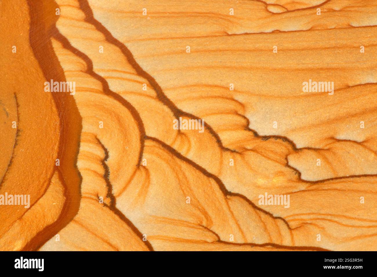 Biggs Picture Jasper aus Oregon Stockfoto