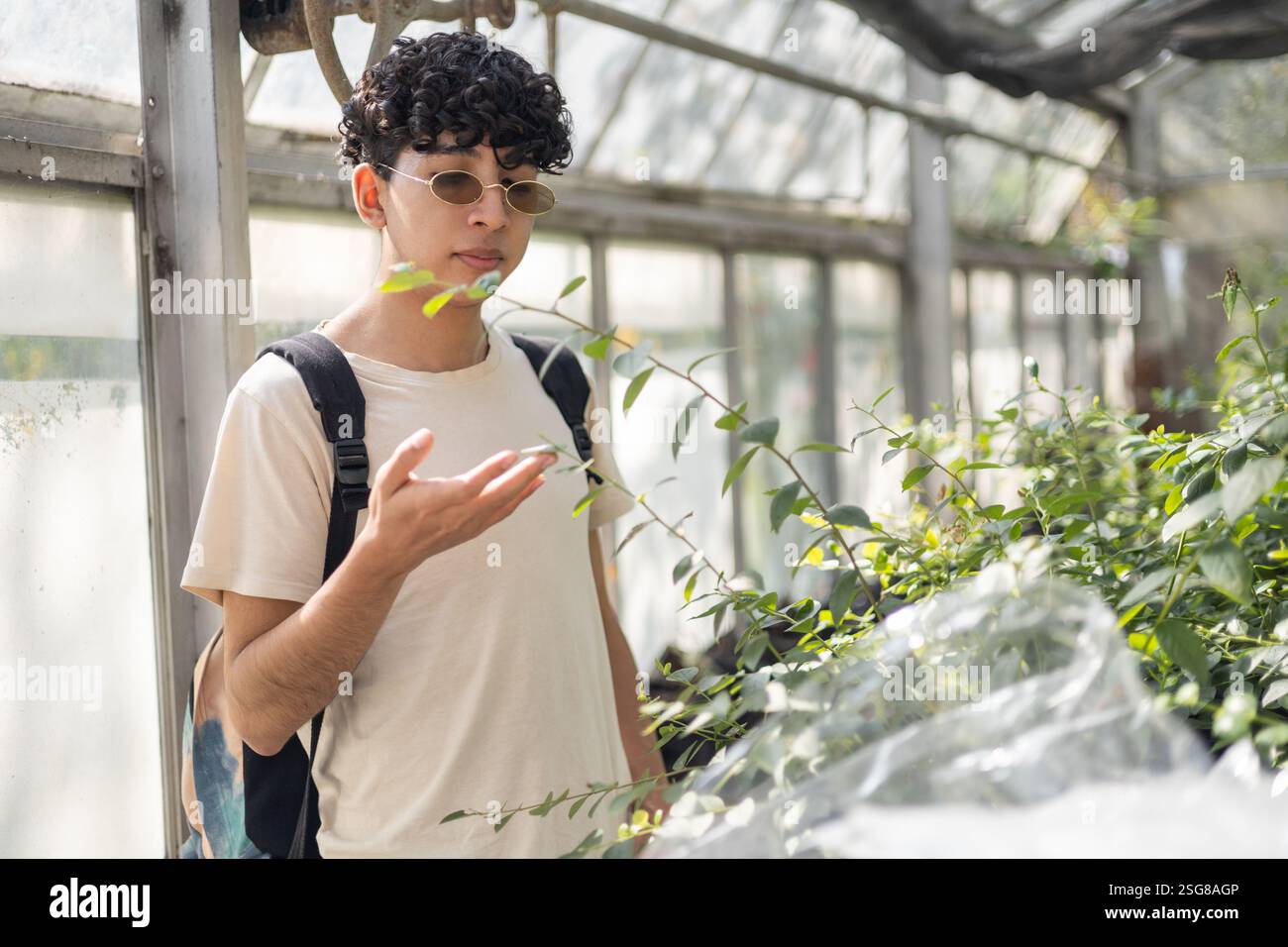 Ein Schüler steht in einem üppigen Kinderzimmer und bewundert die lebendigen Pflanzen. Ideal für Themen wie Bildung, Natur, Wellness und nachhaltiges Leben. Stockfoto
