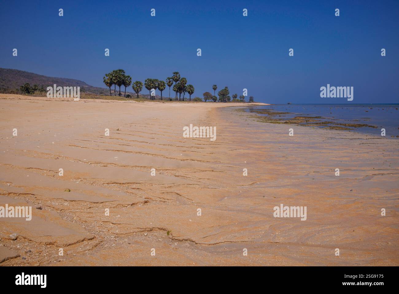 Kleine Rivulet / fluviale Rippen aus Süßwasser, die durch nassen Strandsand in Bacau, Timor-Leste plätschern. Die Wasserströme sind bei Ebbe und sichtbar Stockfoto
