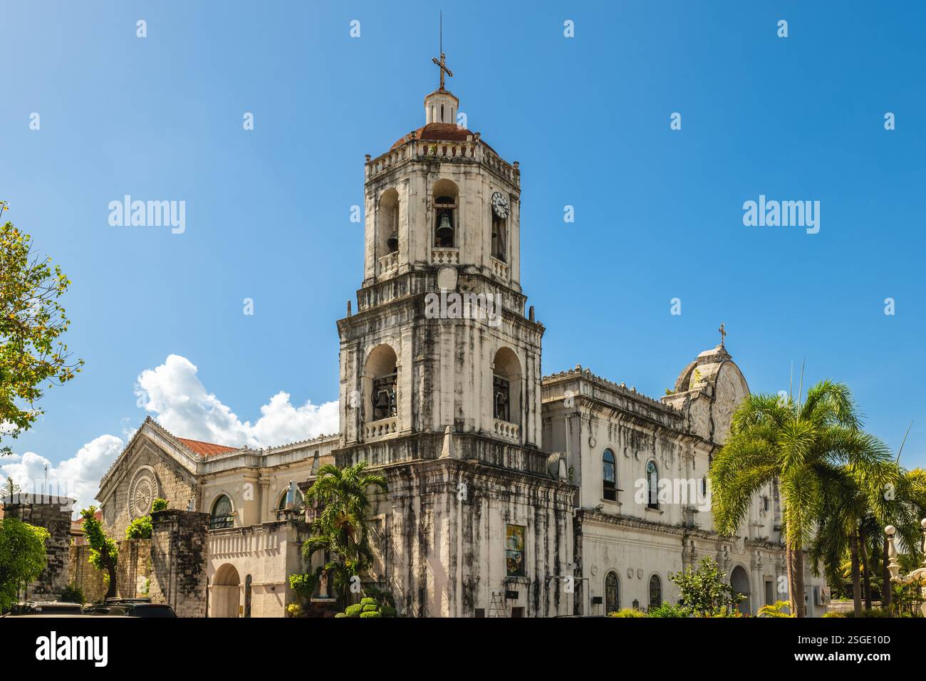 Cebu Metropolitan Cathedral, der kirchliche Sitz der Metropolitan Erzdiözese von Cebu auf den Philippinen Stockfoto