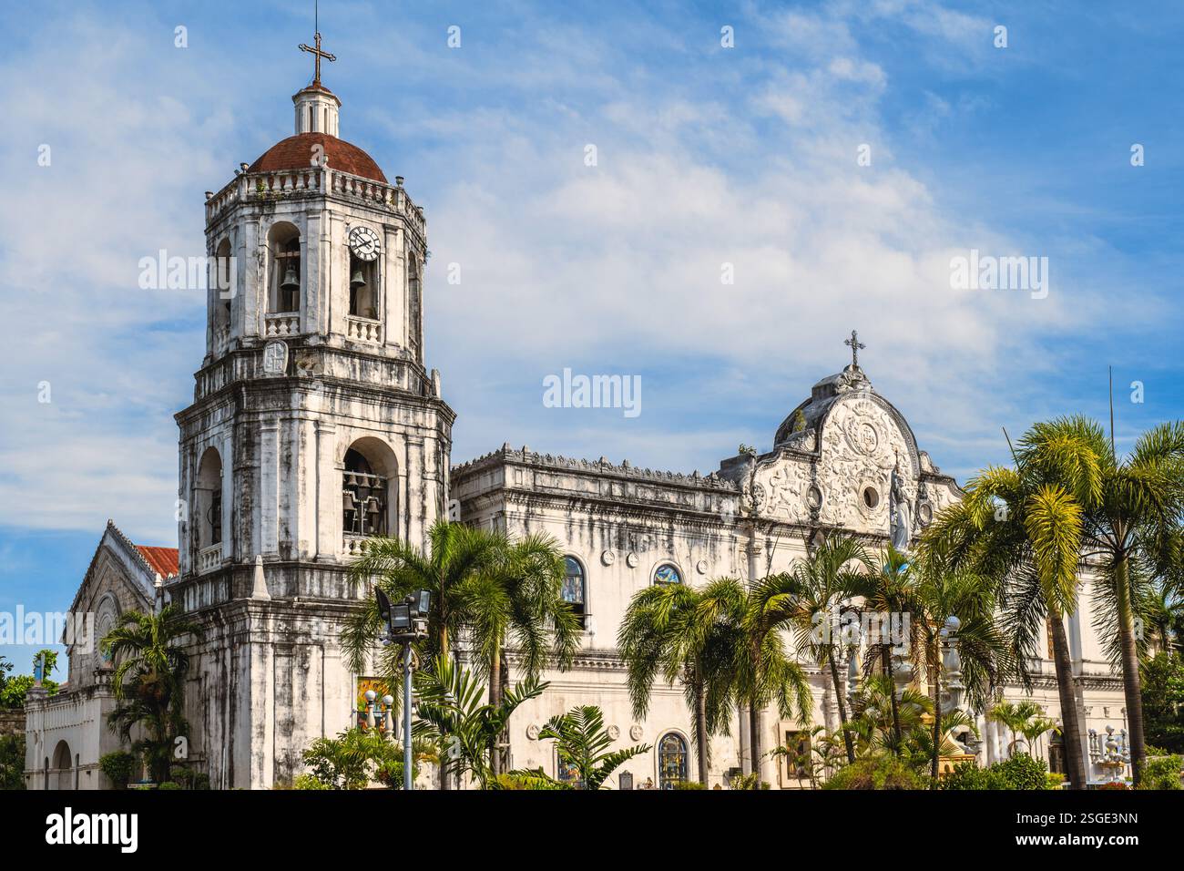 Cebu Metropolitan Cathedral, der kirchliche Sitz der Metropolitan Erzdiözese von Cebu auf den Philippinen Stockfoto