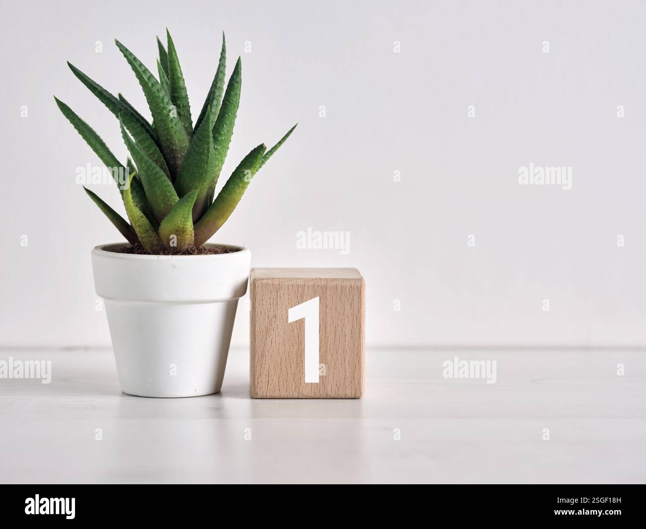Holzblock mit Nummer eins neben einer saftigen Pflanze im weißen Topf, der Wachstum, Leistung und Erfolg repräsentiert Stockfoto