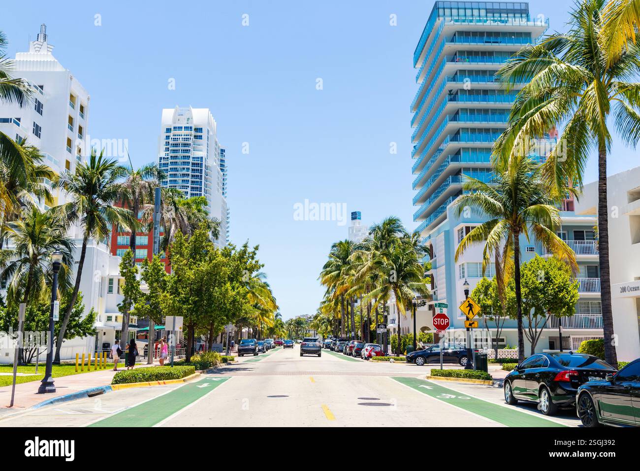 Palmen und Gebäude am Ocean Drive, Miami Beach, Florida, USA Stockfoto