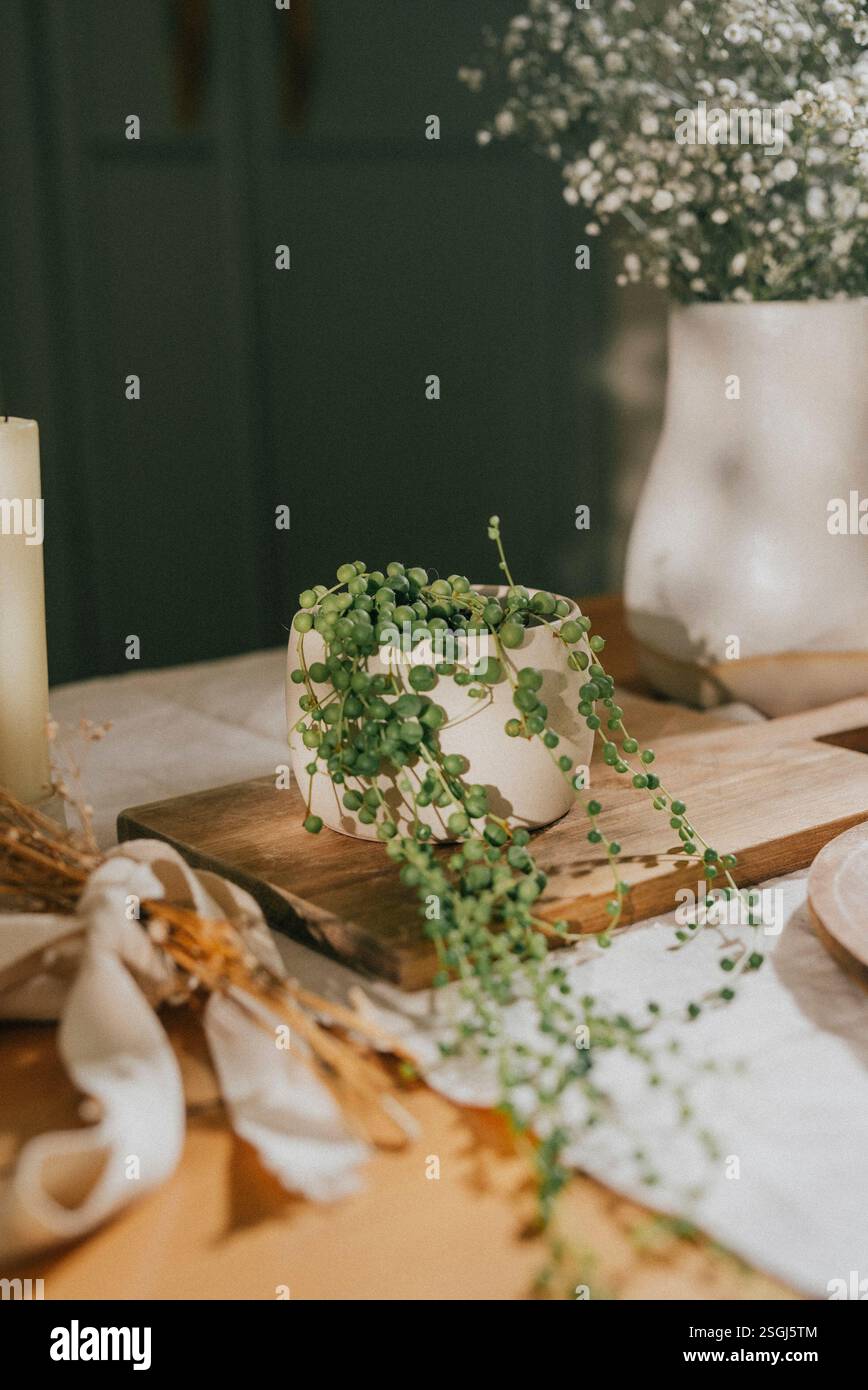 Eine Topfpflanze sitzt auf einem Holztablett mit einer weißen Tischdecke. Die Pflanze ist von Kerzen und Blumen umgeben, was eine warme und einladende Atmosphäre schafft Stockfoto