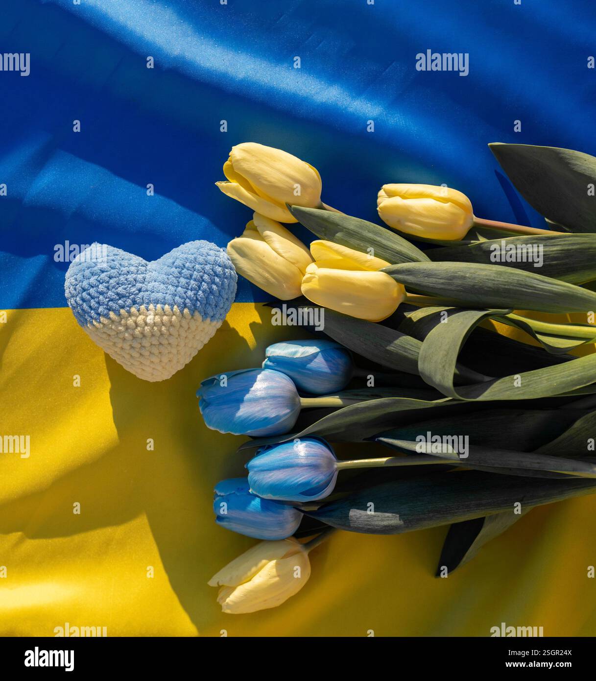Gestrickte Herz- und Frühlings-Tulpenblüten in Blau und Gelb liegen auf ukrainischer Flagge. Die Ukraine wird gewinnen und wiedergeboren werden. Unterstützung für die Ukraine. Stoppt den Krieg. In Stockfoto
