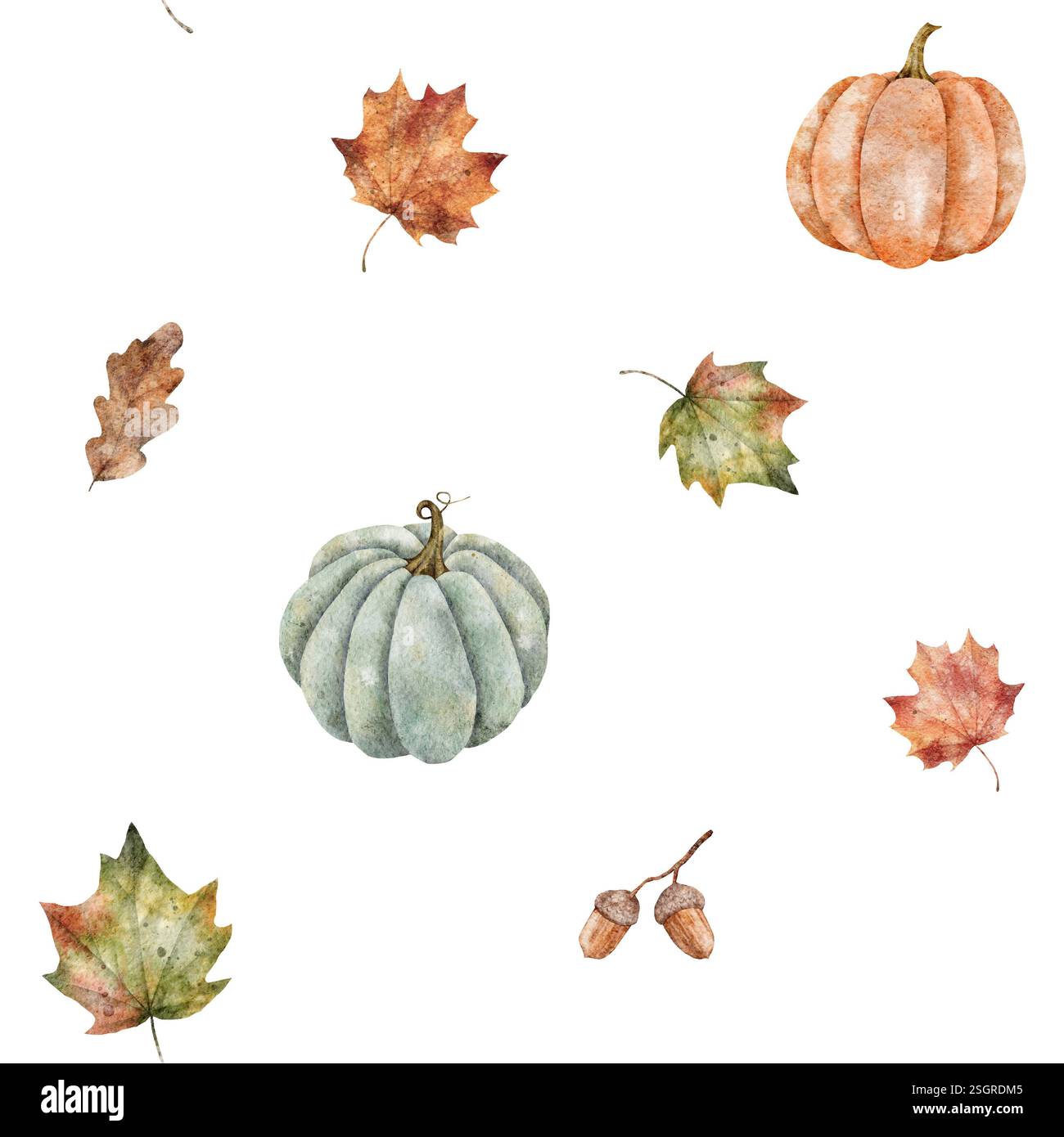 Nahtloses Wasserfarbenmuster von Herbstelementen. Handgezeichnete Illustration Kürbisse, Ahornblätter und Eichel. Botanischer Druck für Tapeten, Textilien, Stoff Stockfoto