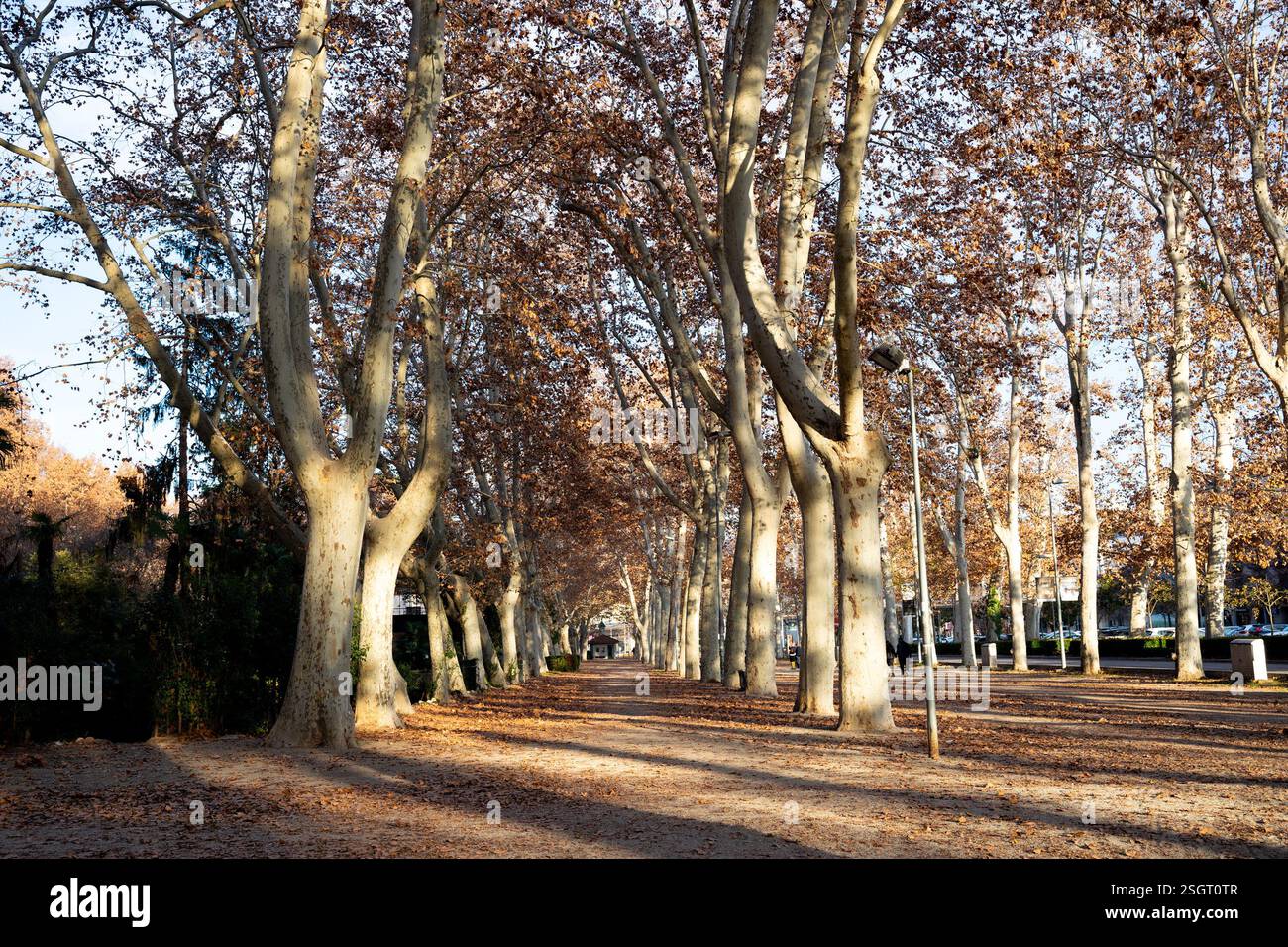 Die Stadt Girona, Zentrum von Girona, Parks und Garten in Girona, Spanien Katalonien Stockfoto