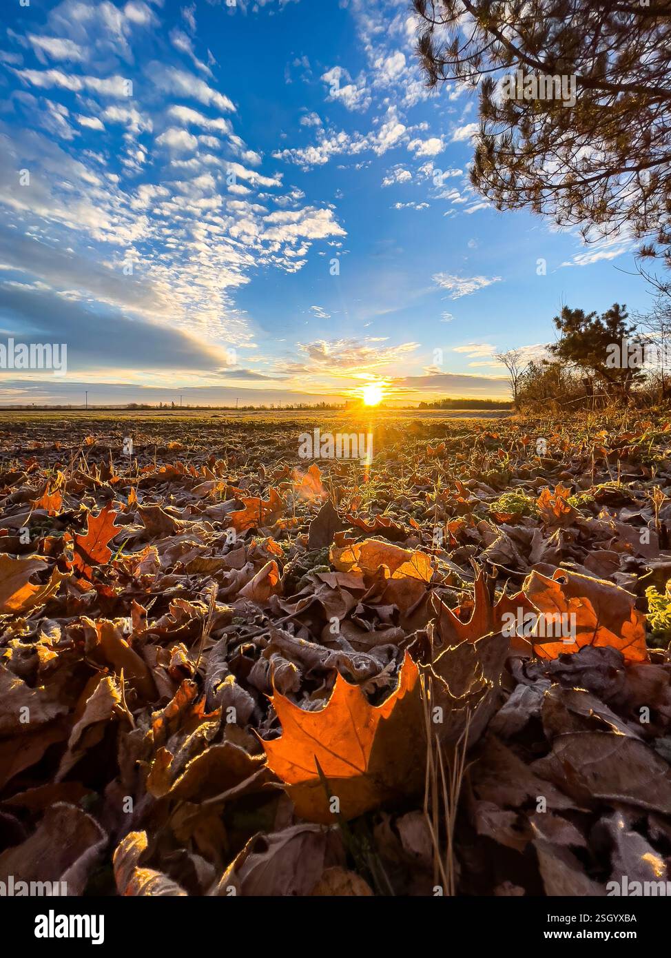 Sonnenaufgang über eisiger Herbstlandschaft. Farbenfrohes Herbstbild. Stockfoto