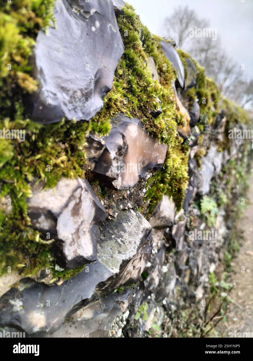 Natürliche Texturen von moosbedeckten Steinen entlang eines Kopfsteinpflasterwegs in einer ruhigen Umgebung im Freien. Nahaufnahme einer verwitterten Steinmauer. - Smartphone-aufgenommenes Stockfoto