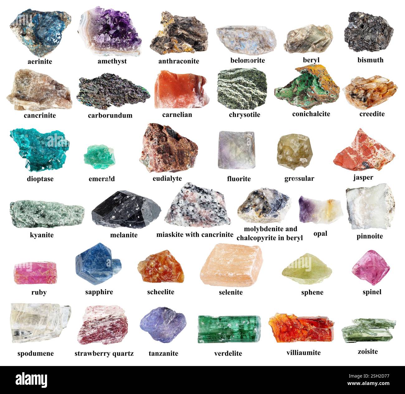 Exemplare verschiedener ungeschnittener Gesteine mit Namen auf weißem Hintergrund (Chrysotil, Selenit, Amethyst, Carborund, Anthraconit, Pinnoit, Conichal Stockfoto