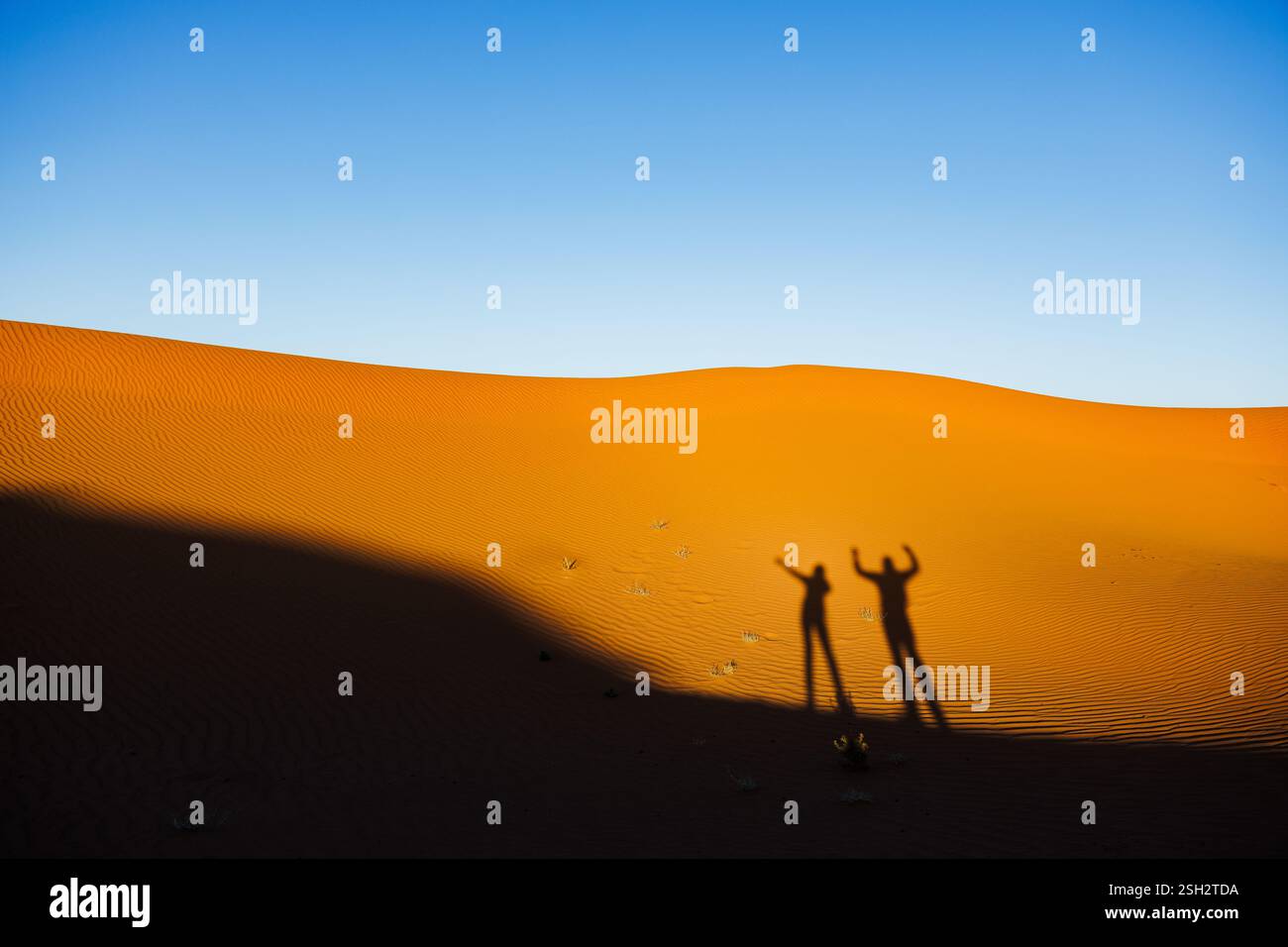 Erleben Sie die Wüste Sahara in Marokko, ein fantastisches Reiseziel und erleben Sie die Natur. Stockfoto