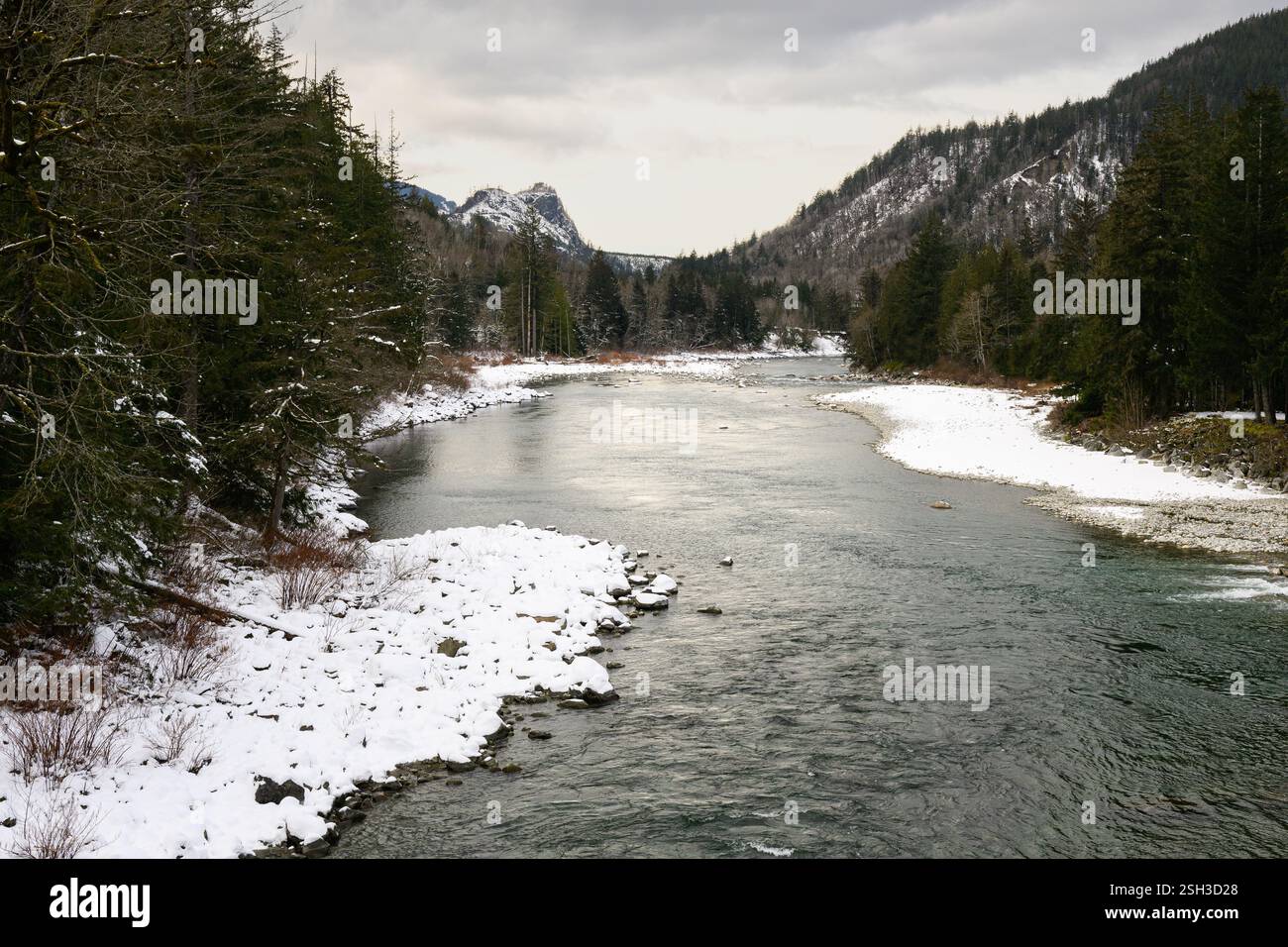 Der Pazifische Nordwestfluss fließt im Winter zwischen schneebedeckten Stränden mit Tannenwald Stockfoto