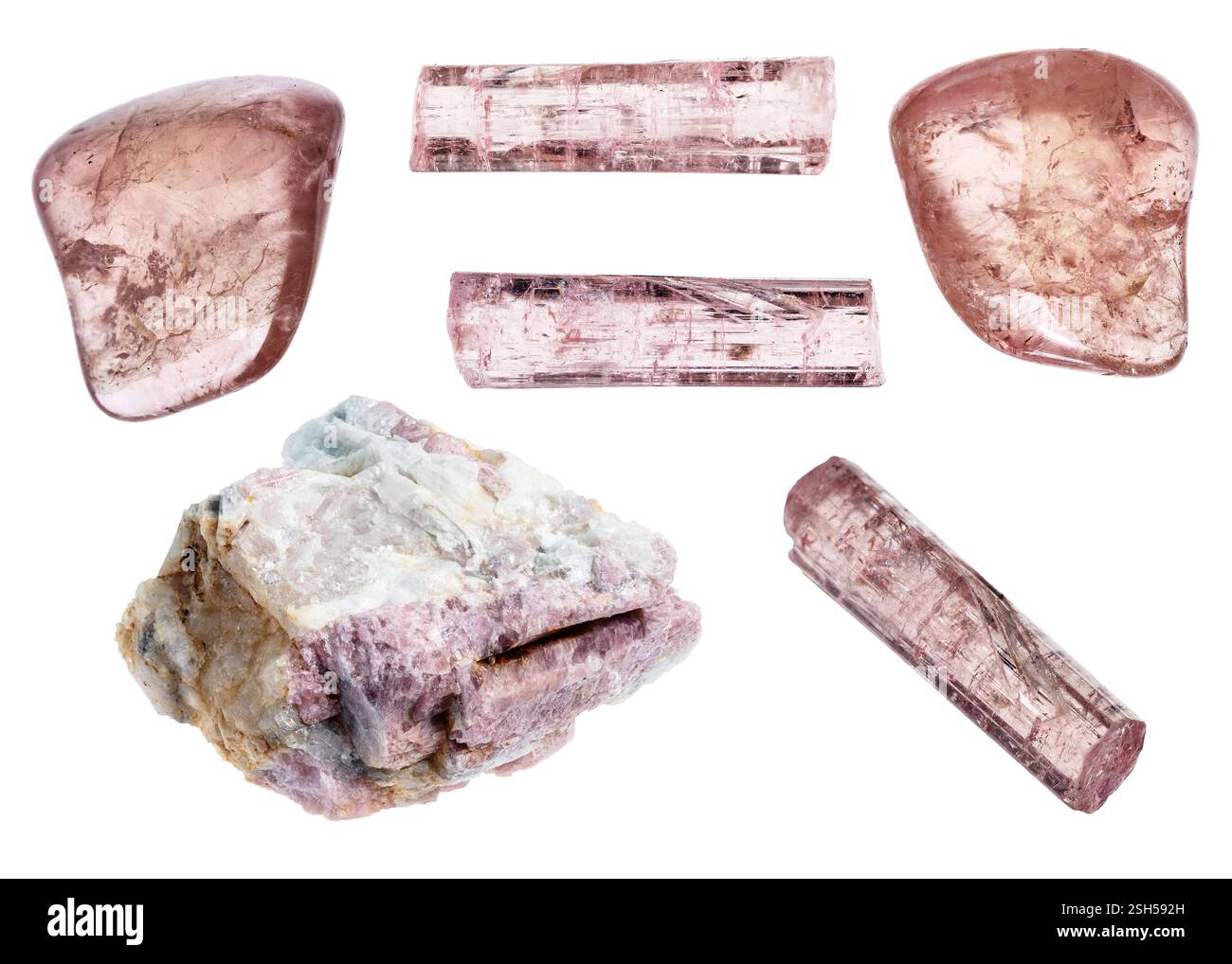 Verschiedene Exemplare von ungeschnittenen rosa Turmalinfelsen, die auf weißem Hintergrund ausgeschnitten sind Stockfoto