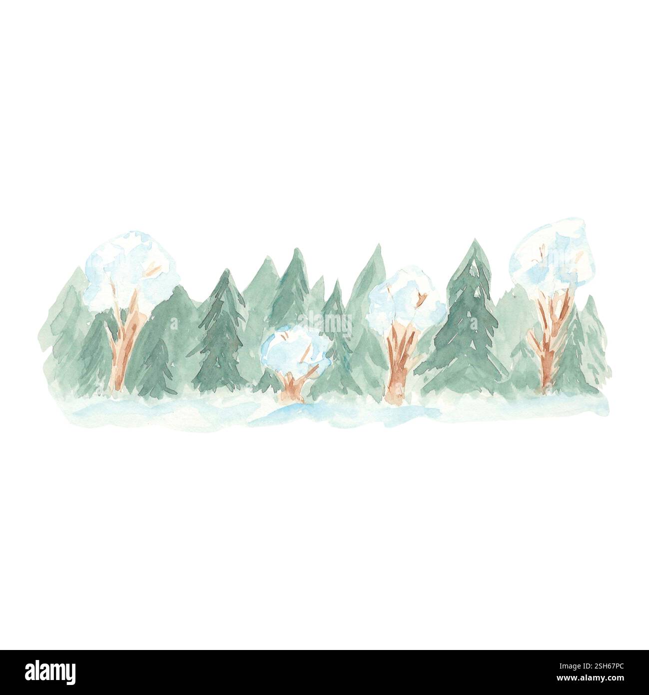 Wald von Nadel- und Laubbäumen Aquarellillustration handgezeichnet. Natur im Wald, schneebedeckte Bäume. Isolierte Illustration für Creat Stockfoto
