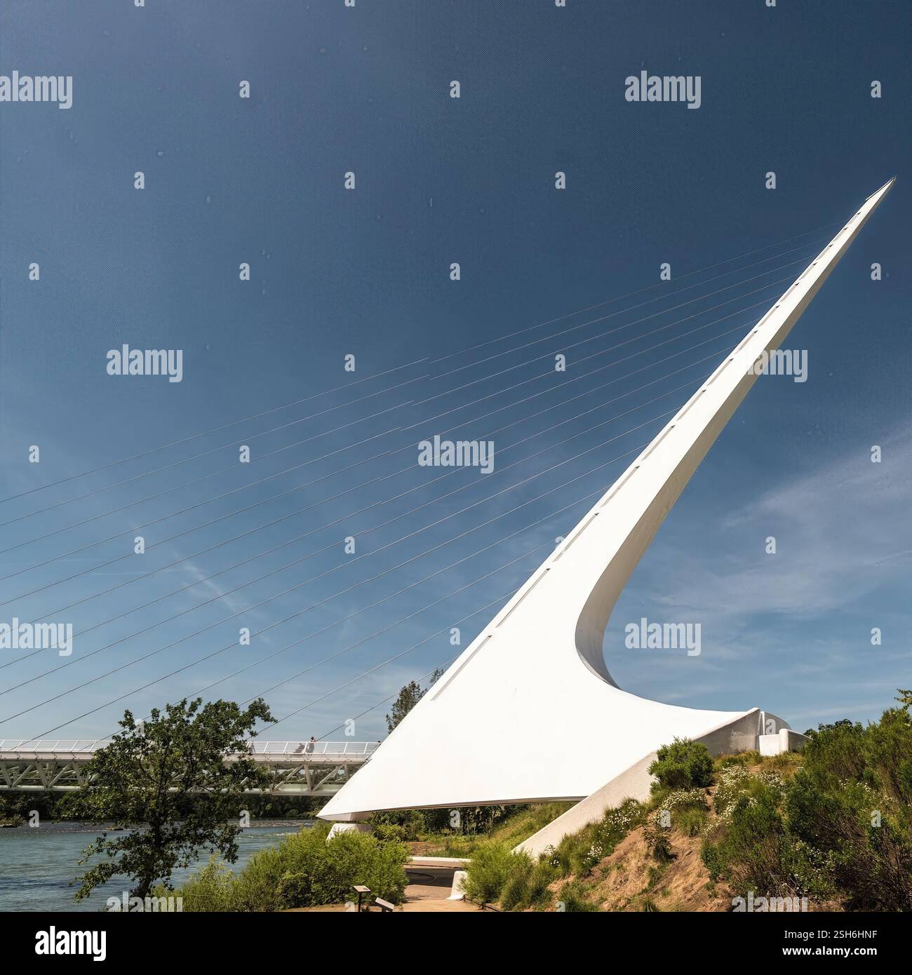 Sundial Bridge Architecture: Dynamischer Blick auf eine moderne Kabelbrücke mit futuristischem Design und Technik vor klarem Himmel. Stockfoto