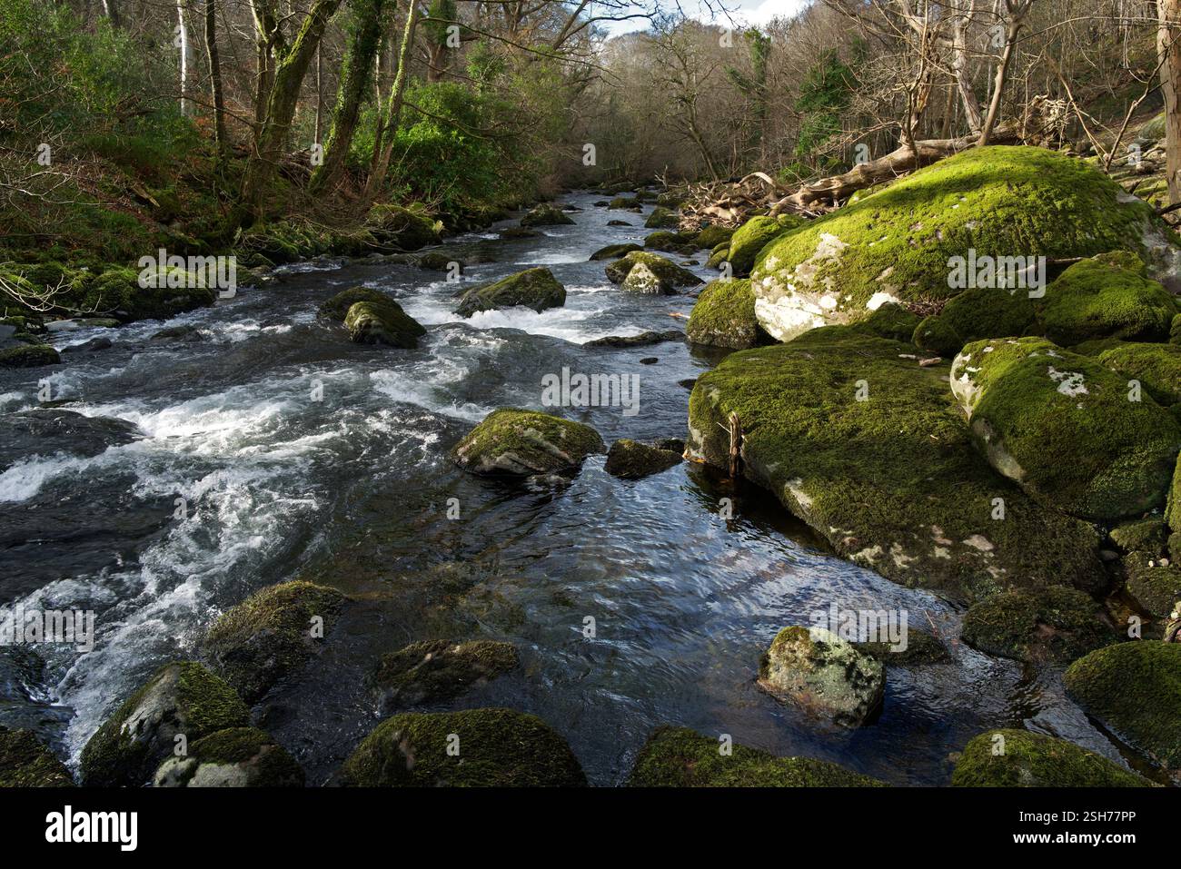 Der Ogwen River entspringt im Lake Ogwen in Snowdonia, ist aber hier in seinem unteren Flusslauf nahe der Halfway Bridge in der Nähe von Tregarth Village zu sehen Stockfoto