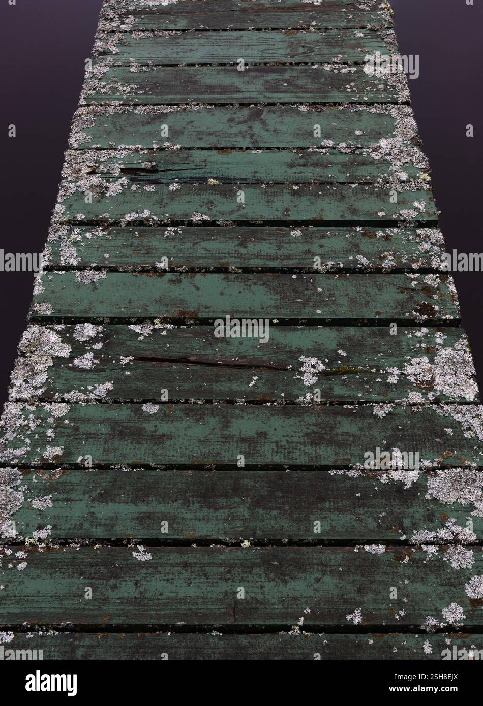 Verwitterte Fußgängerbrücke an einem Fischteich, Gmuend, Waldviertel, Niederösterreich, Österreich, Europa Stockfoto