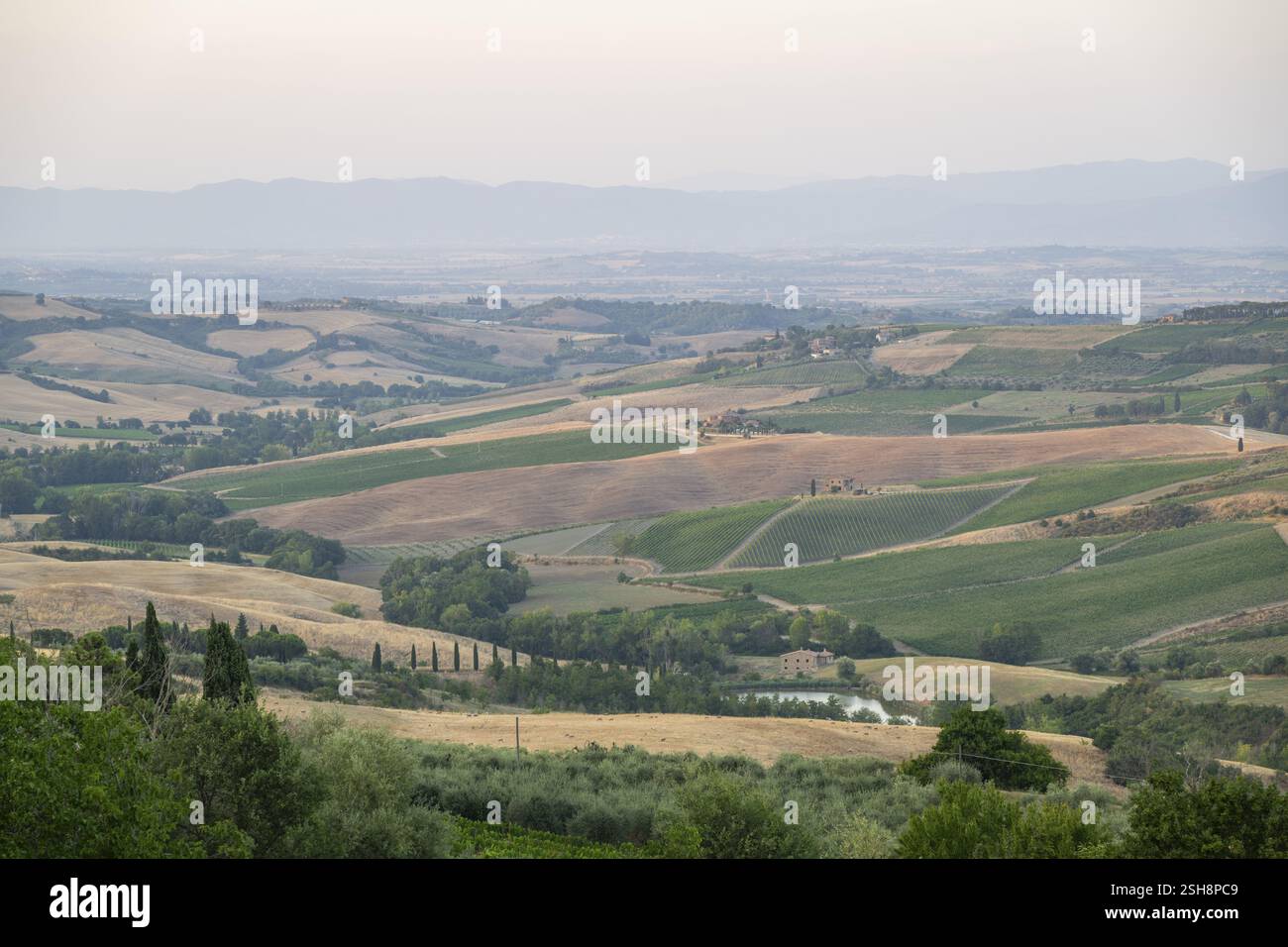 Typisches Erlebnis der toskanischen Landschaft im Val d'Orcia mit Hügeln, Bäumen, Feldern, Zypressen und Bauernhäusern im Sommer, Montepulciano, Toskana, Italien, Euro Stockfoto