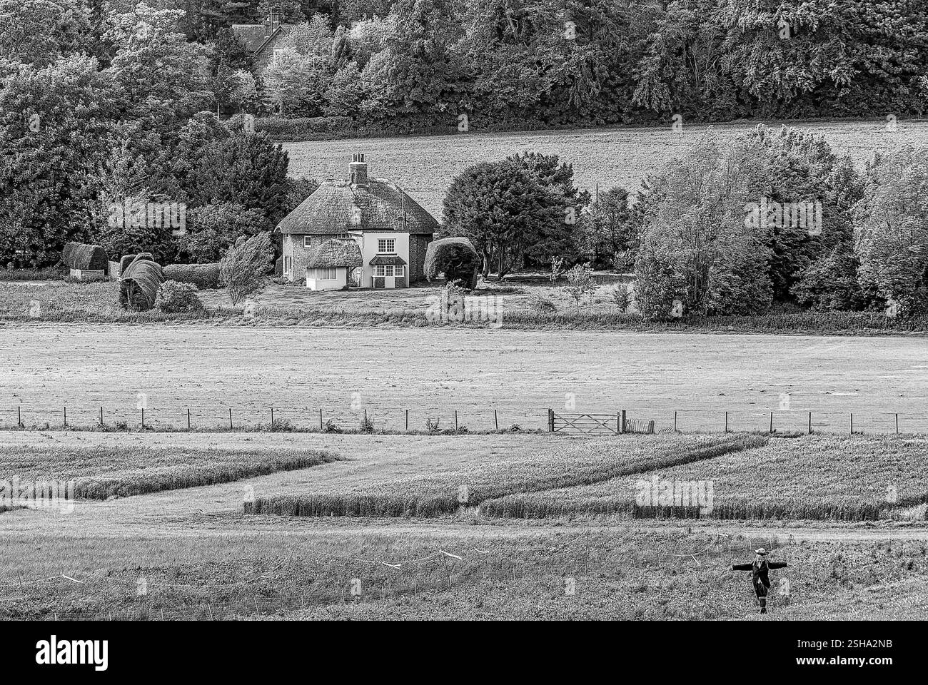Schwarzweißbild eines strohgedeckten Bauernhauses im Weald & Downland Open Air Museum in Singleton, West Sussex, England Stockfoto