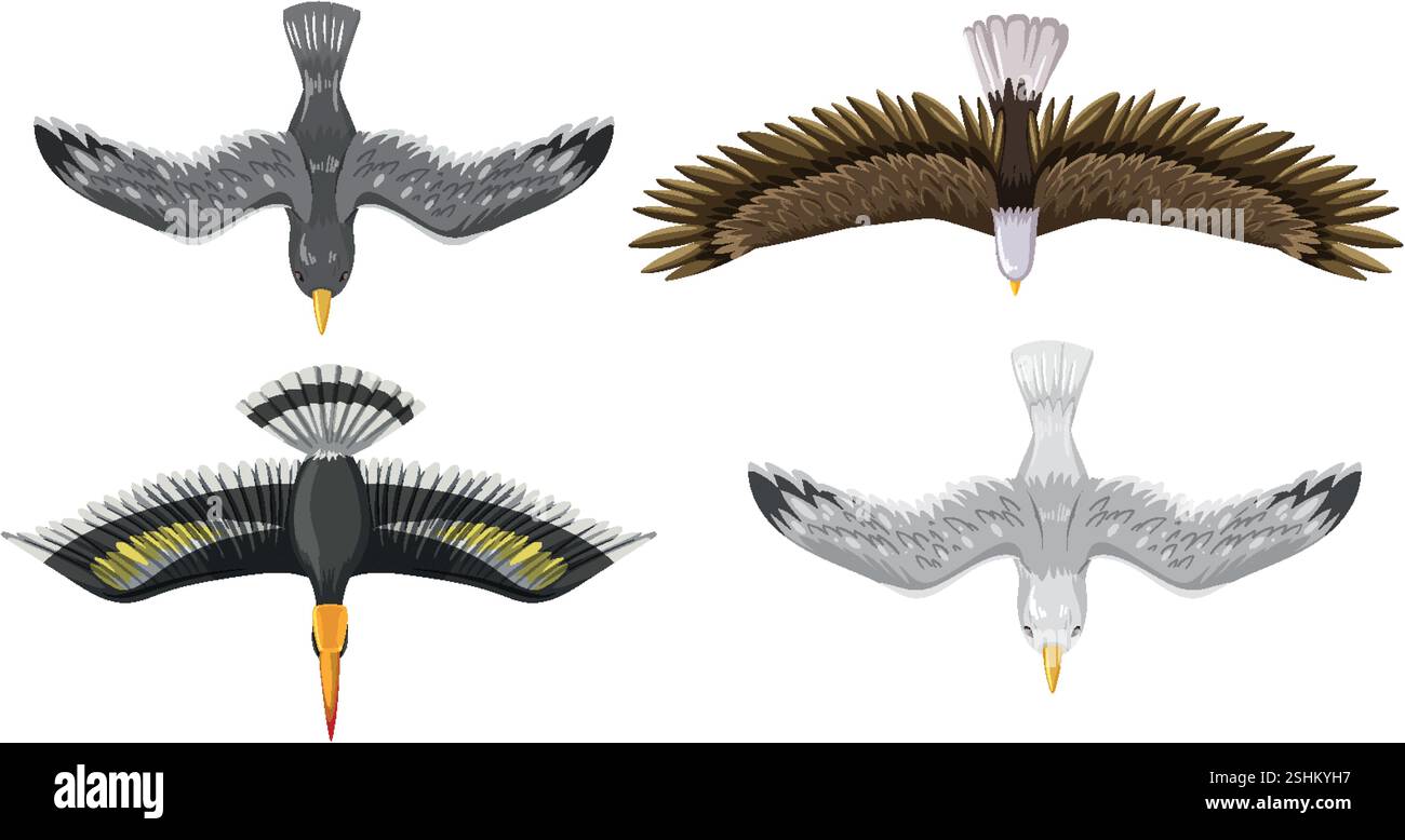 Vier Vögel, die anmutig am Himmel fliegen Stock Vektor