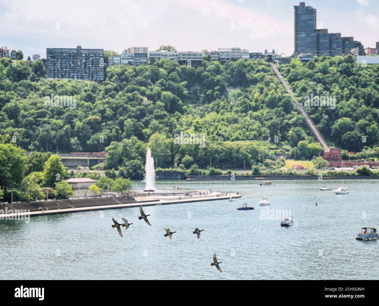 Springbrunnen im Point State Park, wo sich der Monongahela River und der Allegheny River in Pittsburgh, Pennsylvania, treffen. Eine Gruppe von Vögeln fliegt über ein b Stockfoto