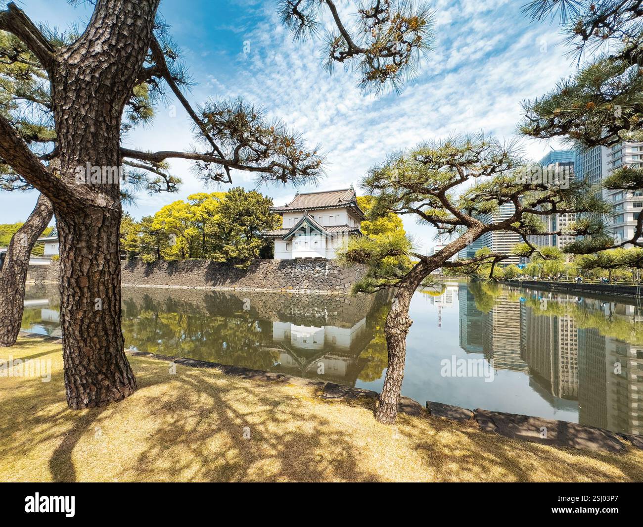 Kaiserpalast in Tokio, Japan. Sakurada Tatsumi Yagura, Burggraben und Wachturm des Kaiserpalastes in Chiyoda City, Tokio. - Smartphone-aufgenommenes Stockfoto