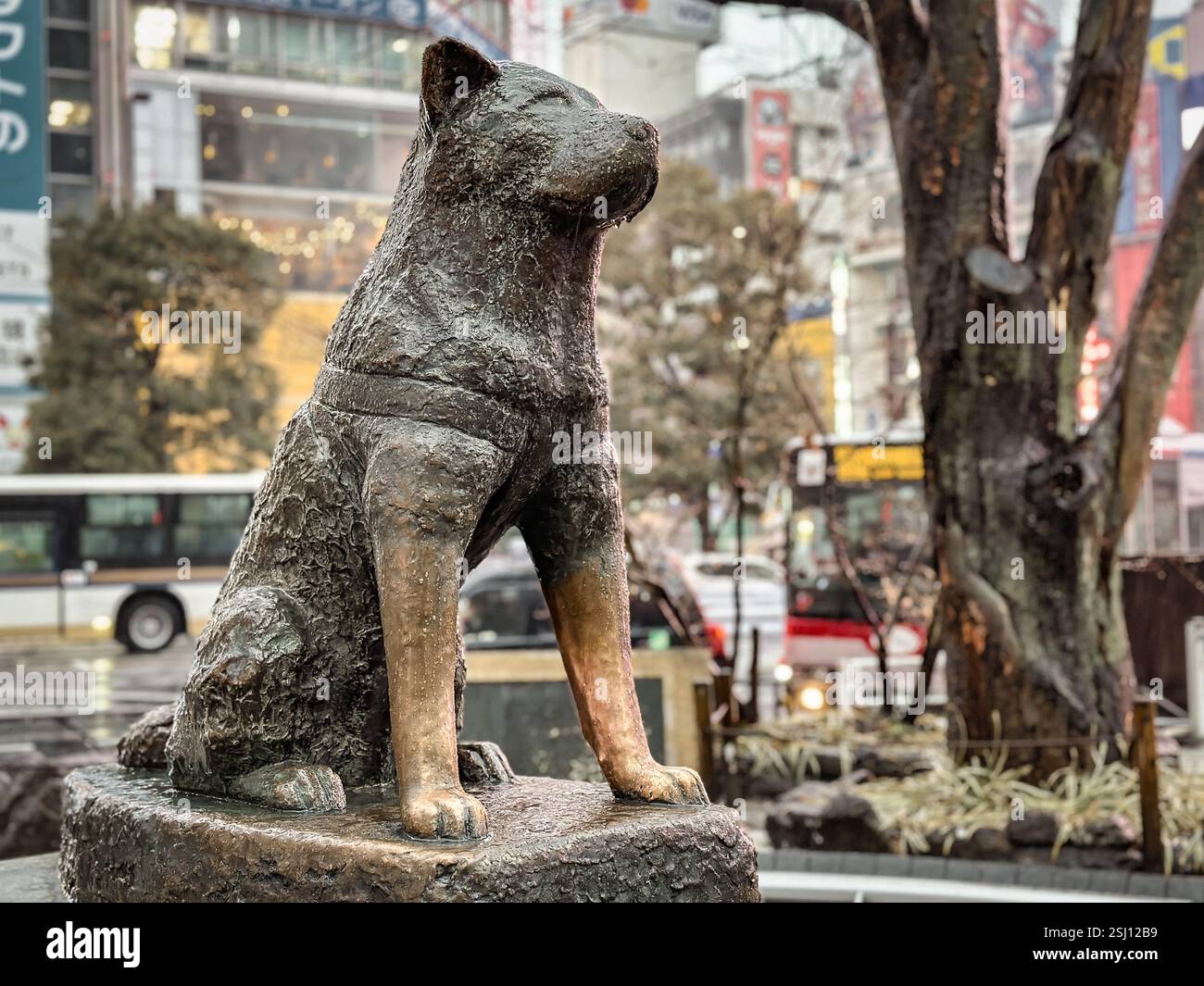 Bronzestatue von Hachikō am Bahnhof Shibuya in Tokio, Japan. Hachiko war ein japanischer Akita-Hund, an den er sich wegen seiner Loyalität zu seinem Besitzer Hidesaburō Ueno erinnerte - Smartphone-aufgenommenes Stockfoto