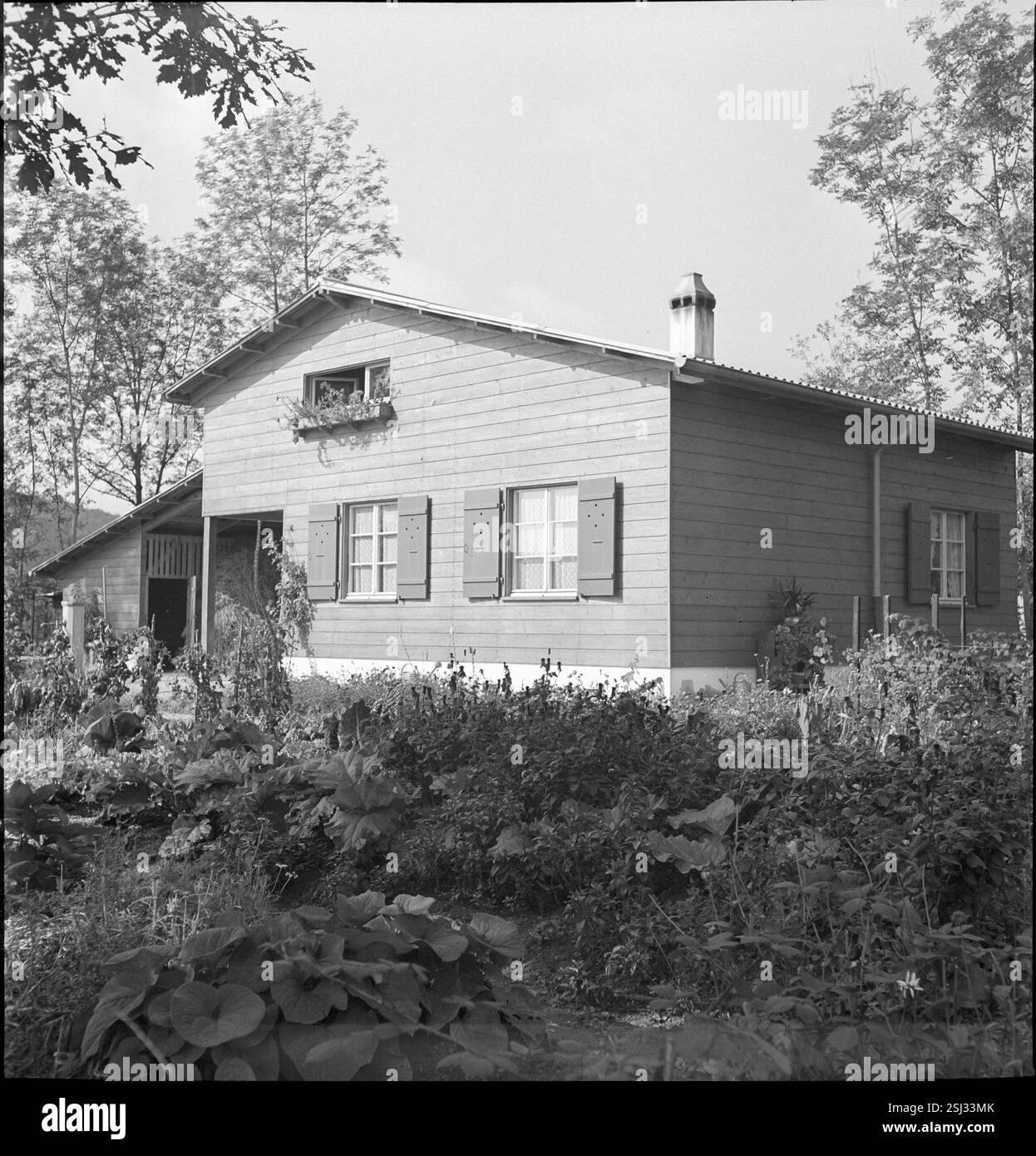 --- Wohnhaus und Garten für Arbeiterfamilie in Laupen; 1939#Laupen: Wohnhaus und Garten der Arbeiterfamilie; 1939 Stockfoto