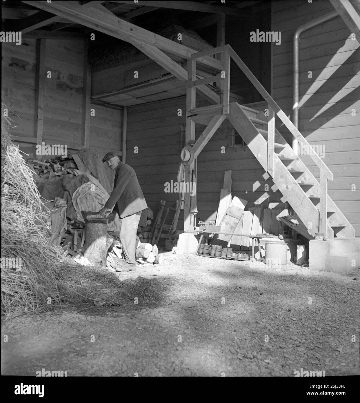 --- Mann beim Holz sägen bei Wohnhaus für Arbeiterfamilie in Laupen; 1939#Laupen: Holzsägen neben Wohnhaus für Arbeiterfamilien; 1939 Stockfoto