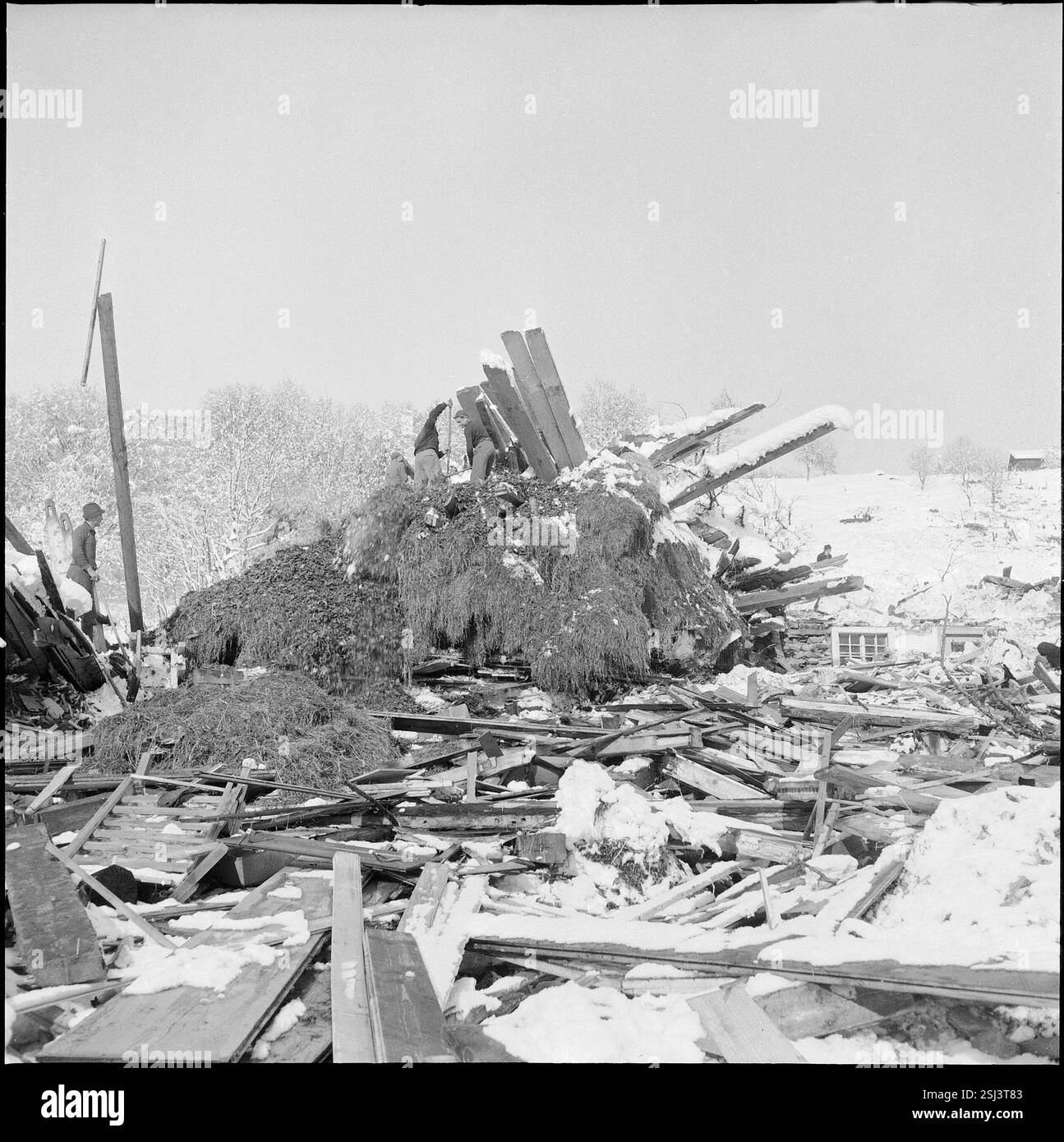 --- Räumungsarbeiten nach Lawinenniedergang im Montafontal; 1954#Avalanche im Montafontal, Rodungsarbeiten; 1954 Stockfoto