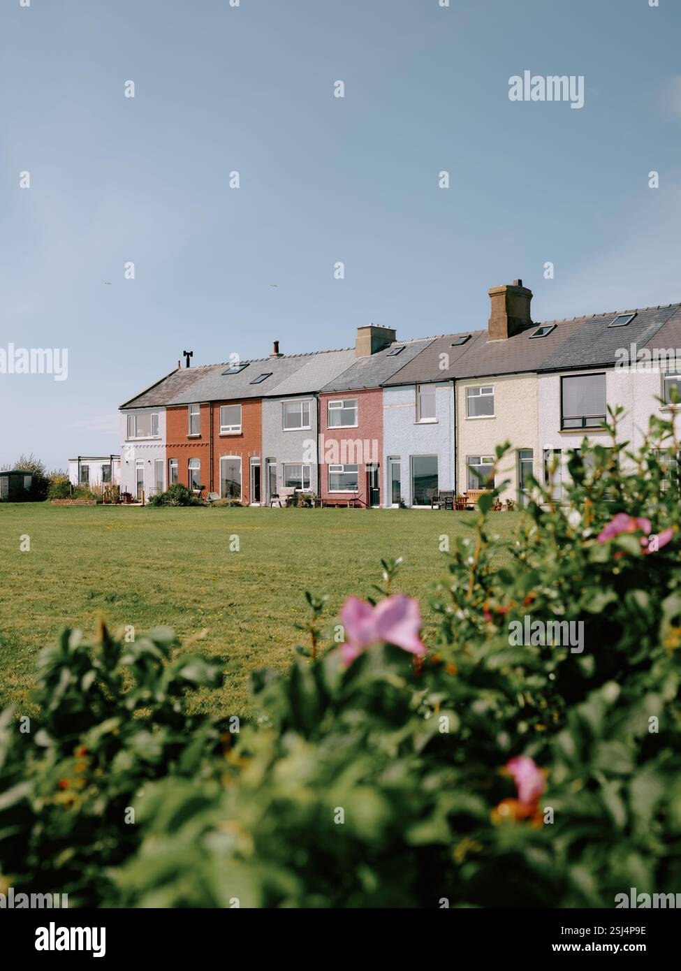 Die farbenfrohen Häuser in Roa Island, Furness Peninsula, Westmorland und Furness, Cumbria, England. UK Stockfoto