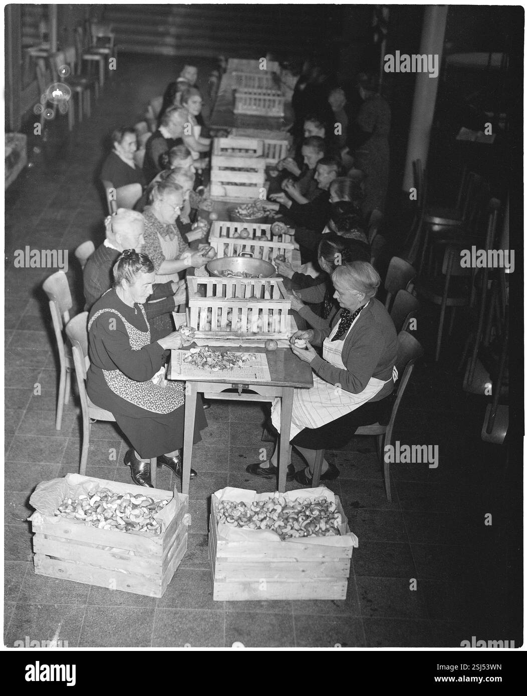--- Frauen rüsten Obst für Dörrobst, 1946#Frauen, die Trockenfrüchte vorbereiten, 1946- RDB VON DUKAS Stockfoto