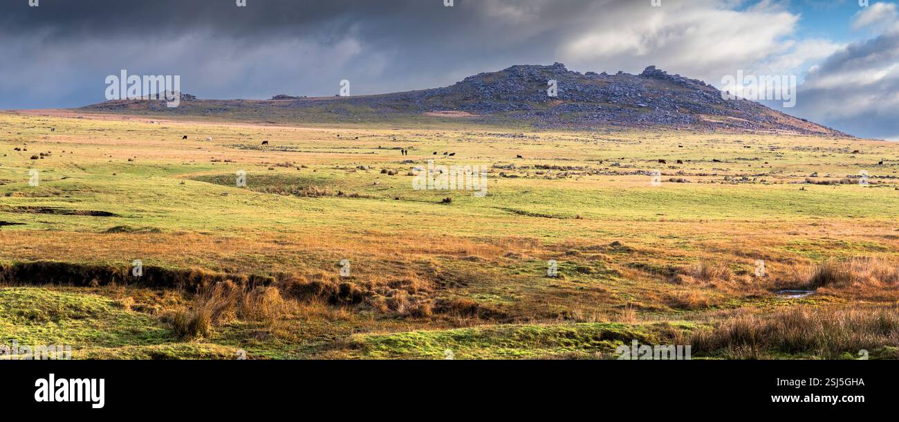 Ein Panoramabild des imposanten Granitrückens Roughtor Rough Tor auf dem wilden windgepeitschten Bodmin Moor in Cornwall in Großbritannien. Stockfoto