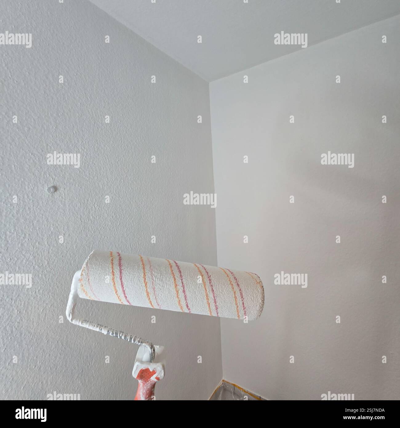 Eine Person, die eine Wand gründlich mit einer Walze bemalt, zeigt den gesamten Prozess der häuslichen Verbesserung auf schöne Weise Stockfoto