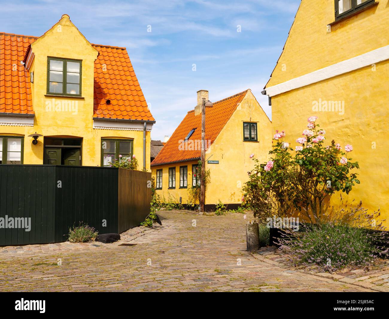 Dragør Altstadt mit engen kopfsteingepflasterten Straßen und historischen gelben Häusern mit roten Ziegeldächern, Amager Island, Hauptstadtregion, Dänemark Stockfoto