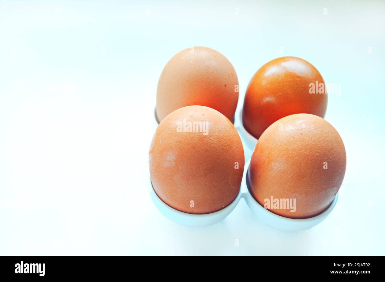 Steigende Eierpreise. Der Einfluss der Vogelgrippe auf die Geflügelindustrie. Stockfoto