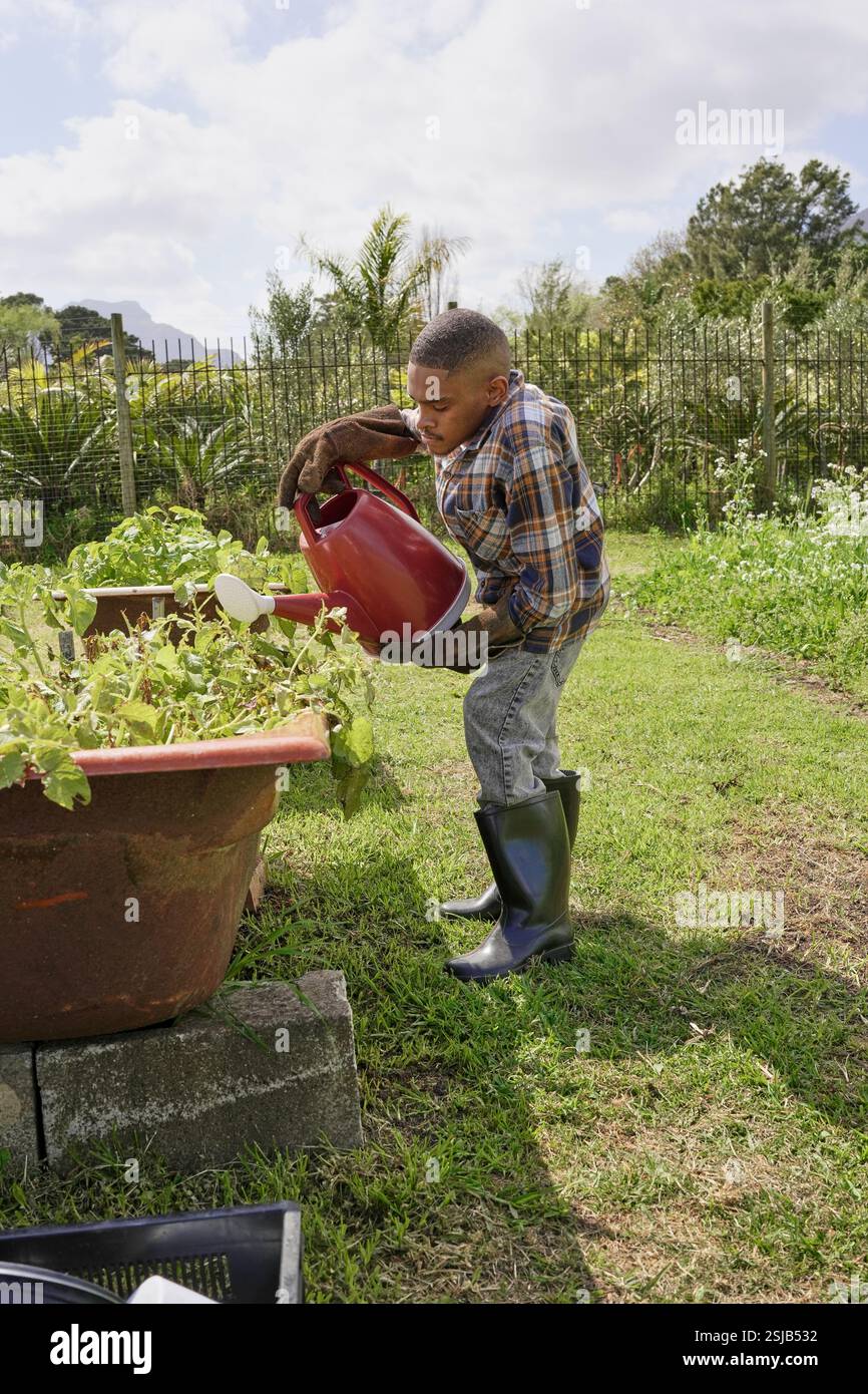Landwirt, der Gemüse in der Badewanne gießt Stockfoto