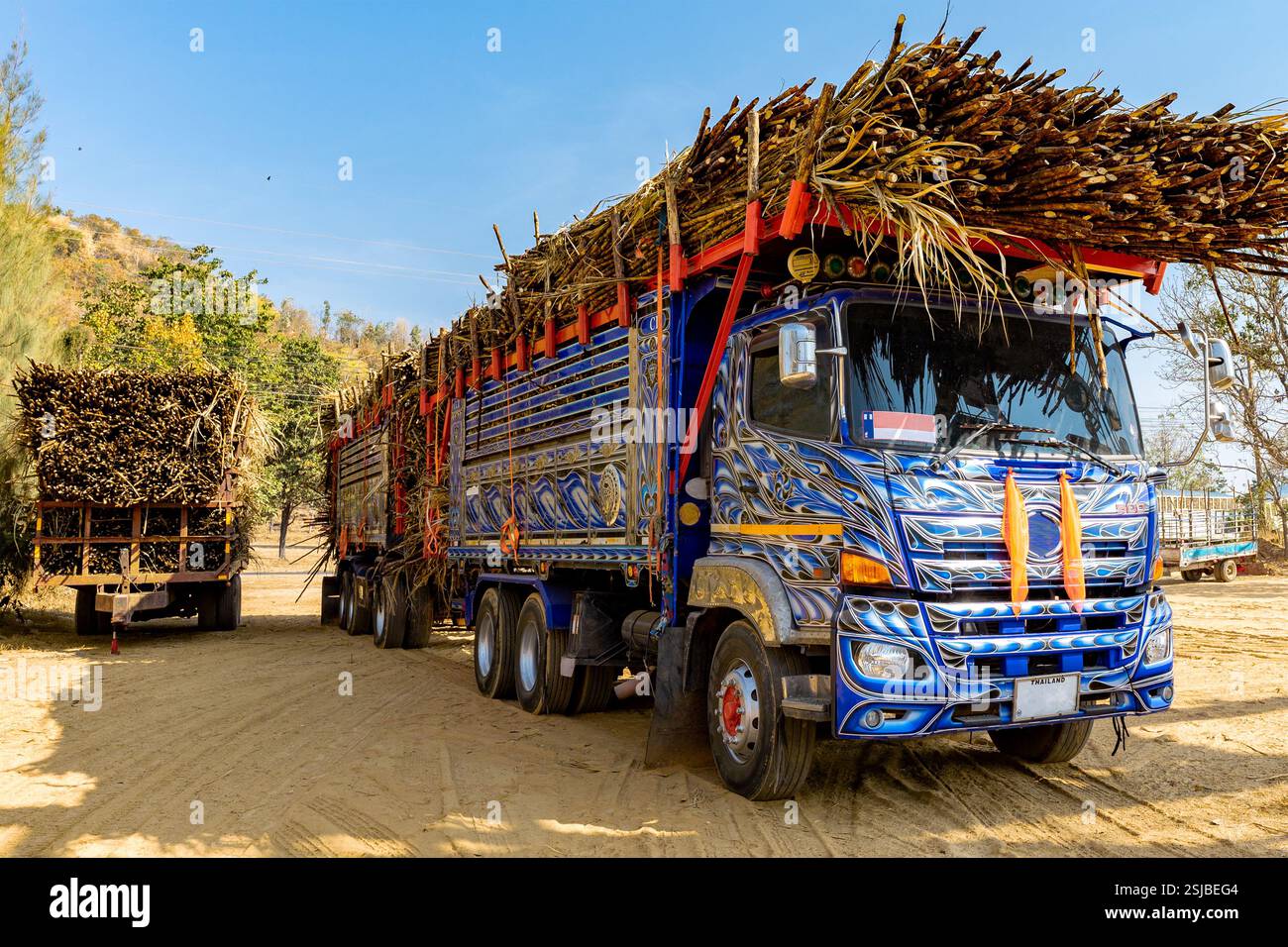 Ein dekorierter Truck mit Zuckerrohr, der auf einer Feldstraße in einer ländlichen Gegend geparkt wurde. Der Lkw ist hell lackiert und mit komplizierten Designs versehen. Stockfoto