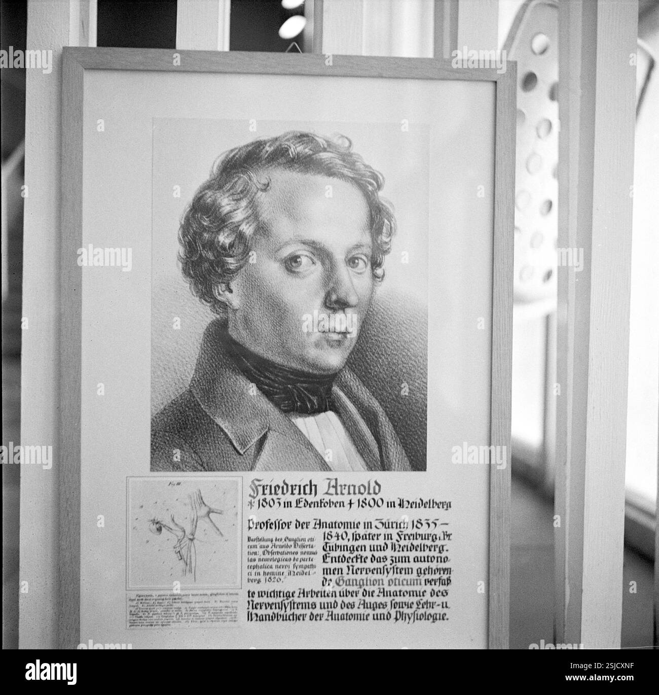 --- Friedrich Arnold (1805-1890)#Friedrich Arnold (1805-1890)- RDB VON DUKAS Stockfoto