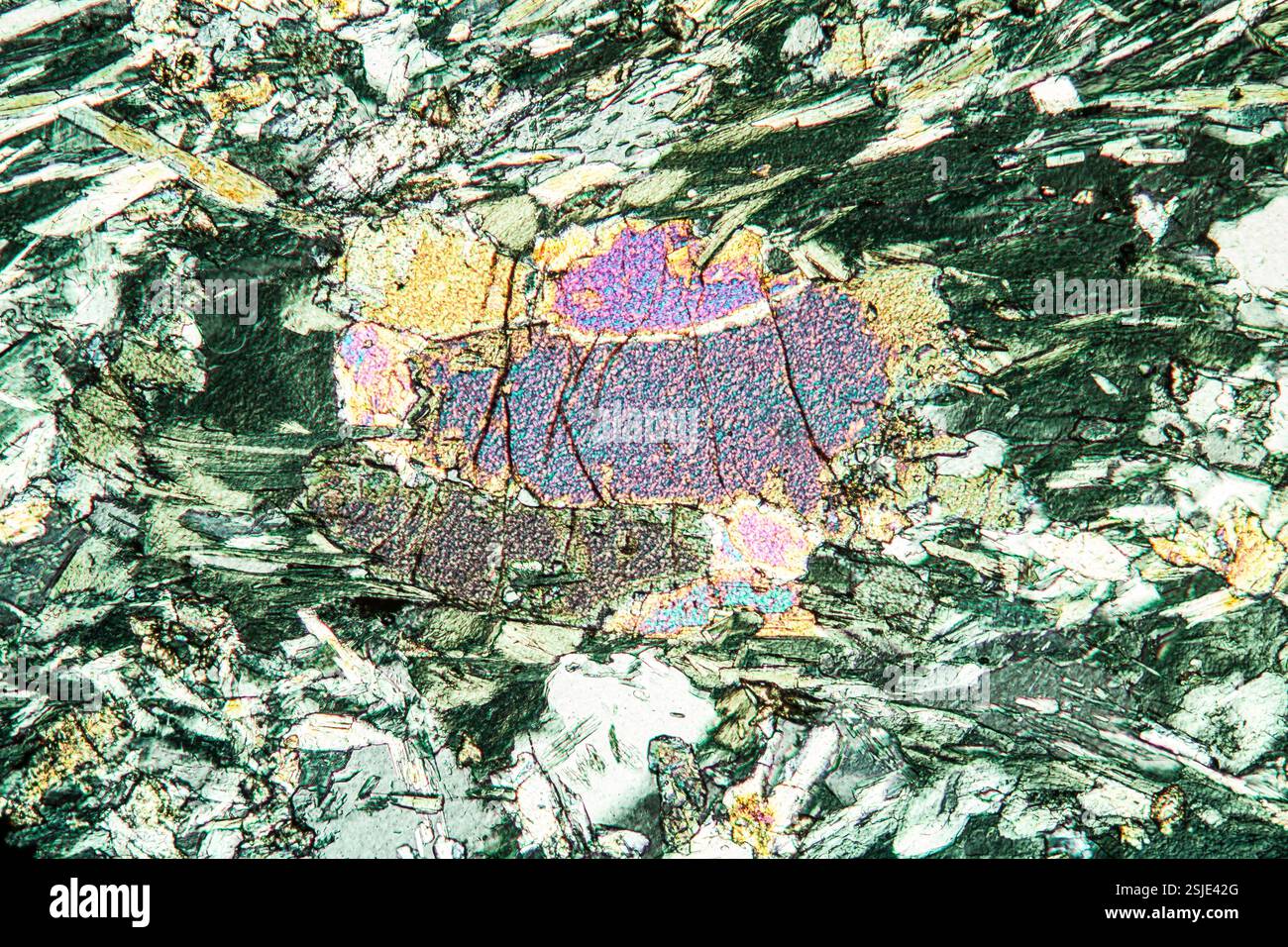 Sedimentgesteine unter dem Mikroskop 100x Stockfoto