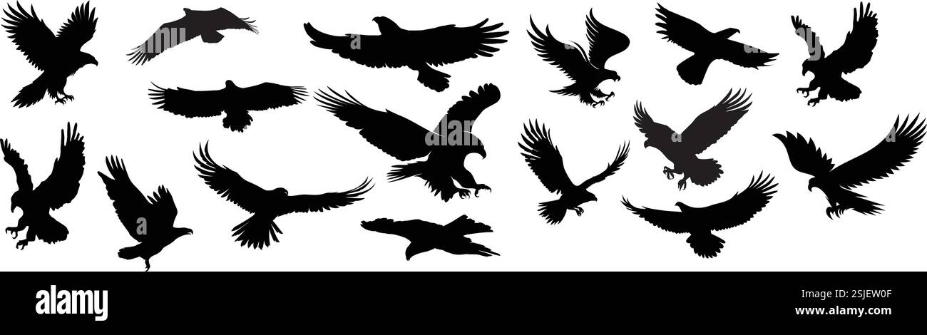 Eagle Vector Art Collection – Schwarz-weiß-Illustration Design Stock Vektor