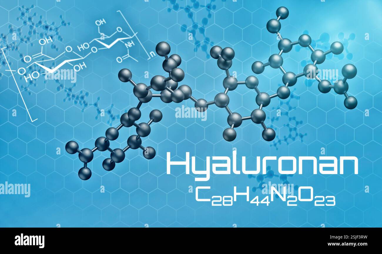 Die dreidimensionale Molekularstruktur von Hyaluronan Stockfoto