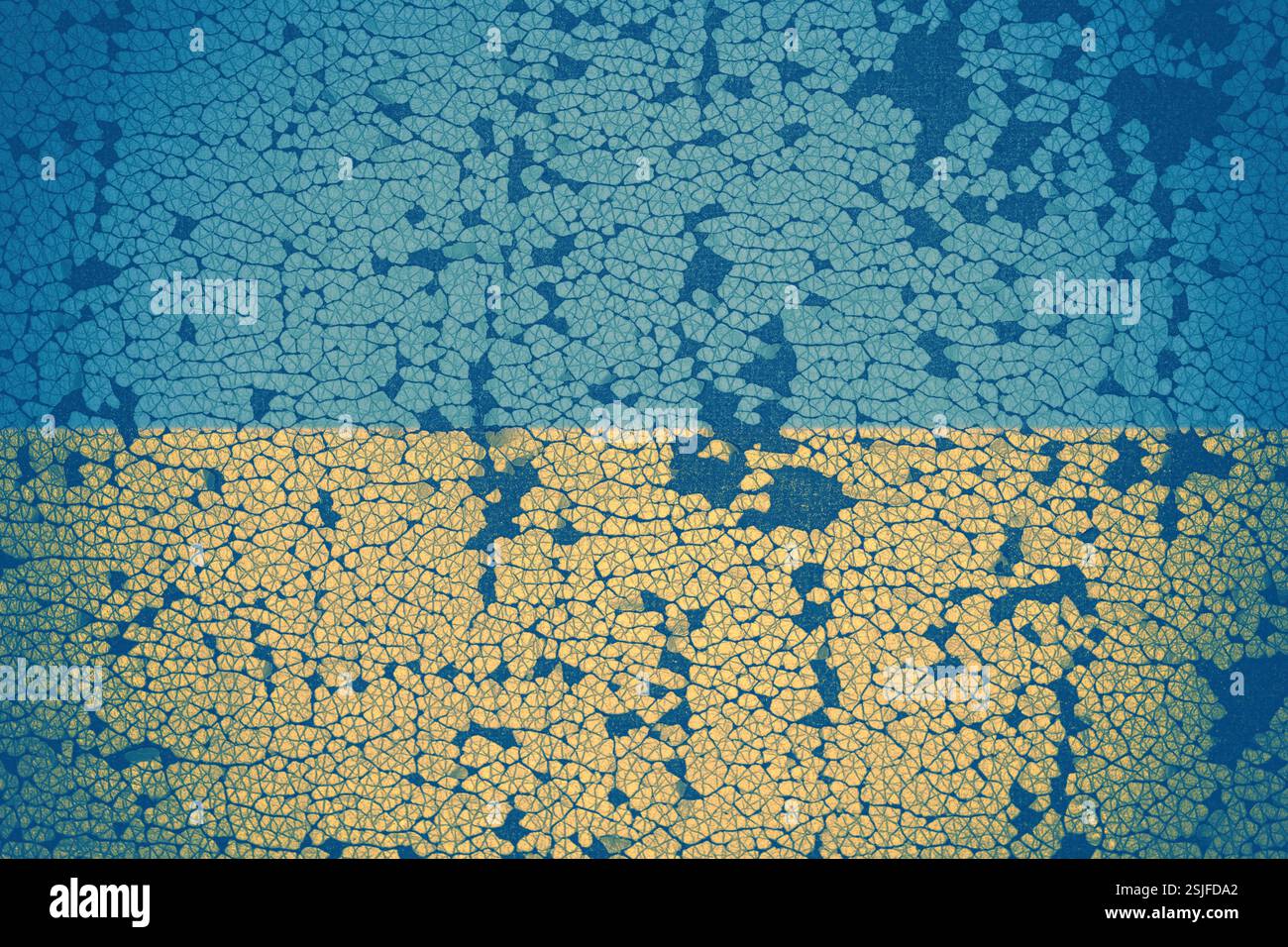 Ukrainische Flagge Stockfoto